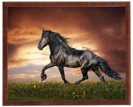 nowoczesny-obraz-w-brazowej-ramie-w-rozmiarze-40x50-cm-horse-1