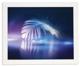 nowoczesny-obraz-w-bialej-ramie-w-rozmiarze-40x50-cm-feather-1