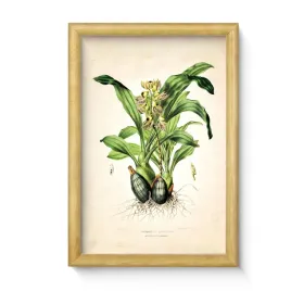 obraz-nowoczesny-w-drewnianej-ramie-20x30-cm-wzor-kwiat-sosnowe-drewno