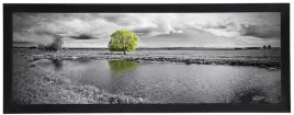 nowoczesny-obraz-tree-1-35x100-cm-w-czarnej-ramie-stylowy-plakat