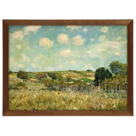 reprodukcja-meadow-1875-sisley-brazowa-rama-70x50-cm
