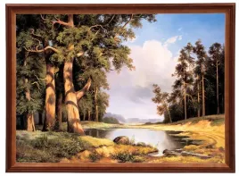 obraz-sosny-cezary-rozycki-w-drewnianej-ramie-50x70-cm-polska-jakosc