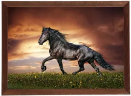 obraz-w-drewnianej-ramie-50x70-cm-horse-1-druk-offsetowy-polska-jakosc