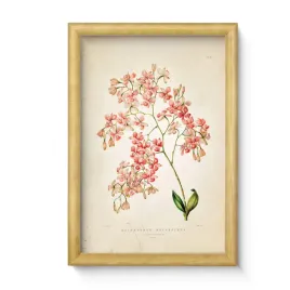 nowoczesny-obraz-w-ramie-sosnowej-20x30-cm-kwiat-druk-offsetowy