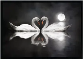 nowoczesny-obraz-w-czarnej-ramie-o-wymiarach-70x100-cm-swans