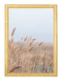 obraz-plakat-fields-20x30-cm-w-ramie-drewnianej-eko-sosna