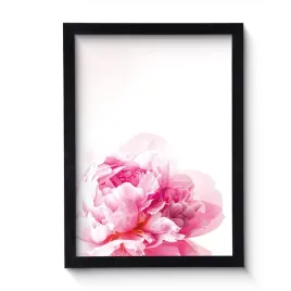 nowoczesny-obraz-w-czarnej-ramie-o-wymiarach-50x70-cm-pink-peony