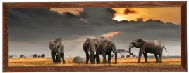 nowoczesny-obraz-w-brazowej-ramie-o-wymiarach-35x100-cm-elephants-3