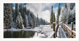 nowoczesny-obraz-w-bialej-ramie-o-wymiarach-50x100-cm-winter-1