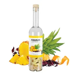 butelka-500ml-z-owocami-wlasna-nalewka-ananas-zrob-to-sam-owoce