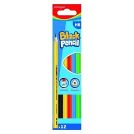 olowek-drewniany-hb-kolorowa-obudowa-12szt