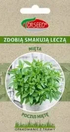 mieta-poczuj-miete-zdobia-smakuja-lecza-01g-torseed