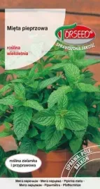 nasiona-mieta-pieprzowa-piperita-01g-torseed