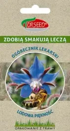 nasiona-ogorecznik-lekarski-lodowa-pieknosc-torseed