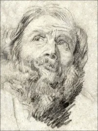 head-of-an-apostle-anthony-van-dyck-plakat-40x50-cm