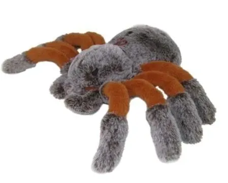 pajak-22cm