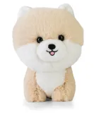 maskotka-teddy-pets-pomeranian
