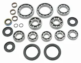 zestaw-naprawczy-dyferencjalu-tylnego-all-balls-polaris-diesel-455-00-01