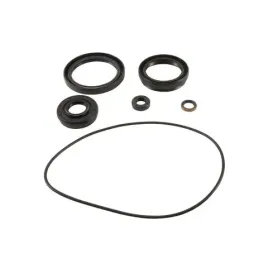 uszczelniacze-dyferencjalu-przedniego-all-balls-kawasaki-kvf750-brute-16-21