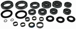 zestaw-naprawczy-dyferencjalu-tylnego-all-balls-polaris-sportsman-500