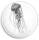 magnes-meduza