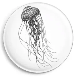 magnes-meduza