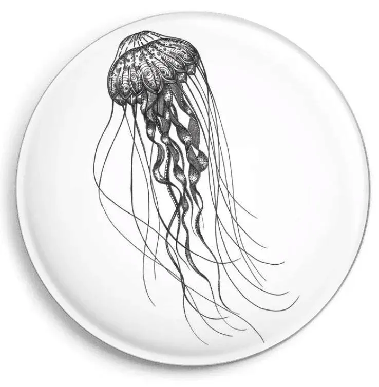 magnes-meduza