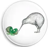 magnes-2-kiwi