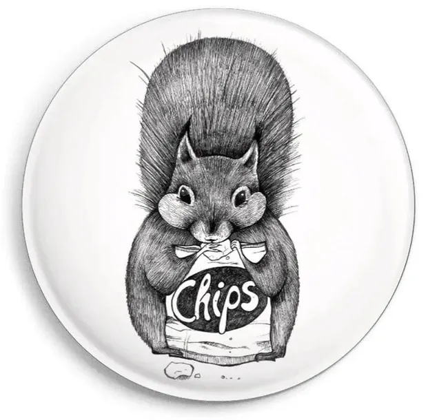 magnes-wiewiorka-z-chipsami