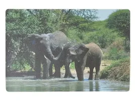 podkladka-na-biurko-piankowa-slonie-60x40cm