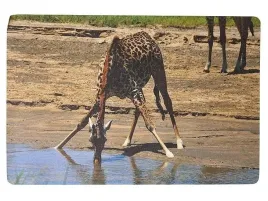 podkladka-na-biurko-piankowa-zyrafa-60x40cm