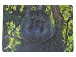 podkladka-na-biurko-piankowa-malpa-60x40cm