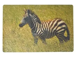 podkladka-na-biurko-piankowa-zebra-60x40cm
