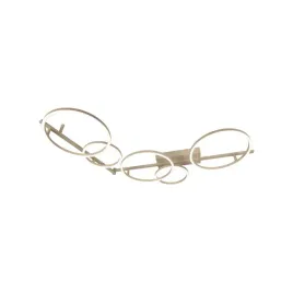 nicola-53113-36-41-lucide