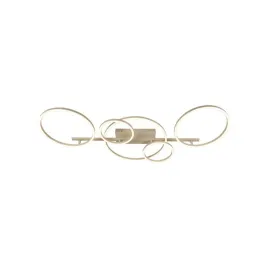 nicola-53112-36-41-lucide