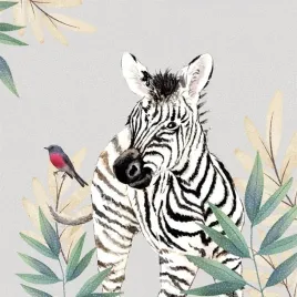 karnet-swarovski-kwadrat-cl4711-zebra