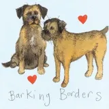 magnes-fm11-border-terrier