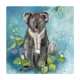 magnes-fm209-koala