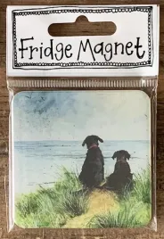 magnes-fm222-psy-na-wydmach
