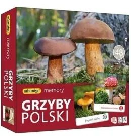 memory-grzyby-polski