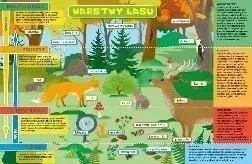 podkladka-na-biurko-warstwy-lasu-i-laka