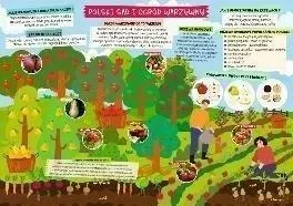 podkladka-na-biurko-sad-i-ogrod-warzywny