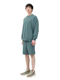 spodenki-meskie-dresowe-4f-wss24tshom342-oliwkowe
