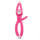 malpka-wiszaca-fuksja