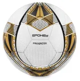 pilka-nozna-progress