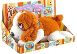 piesek-figo-ruch-i-dzwiek