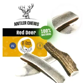 rf-deer-gryzak-naturalny-dla-psa-z-poroza-jelenia-rozmiar-l-premium-soft