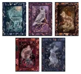 zeszyt-a5-32k-linia-fairytale-10szt-top2000