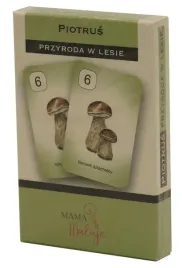 karty-piotrus-przyroda-w-lesie