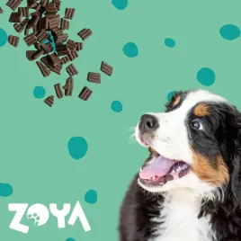 zoya-coldpro-jelen-sucha-karma-dla-psa-1kg